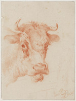 TvB T 407
<br/>
Koeienkop
<br/>
<em>Rijk, James de (1806-1882)</em>